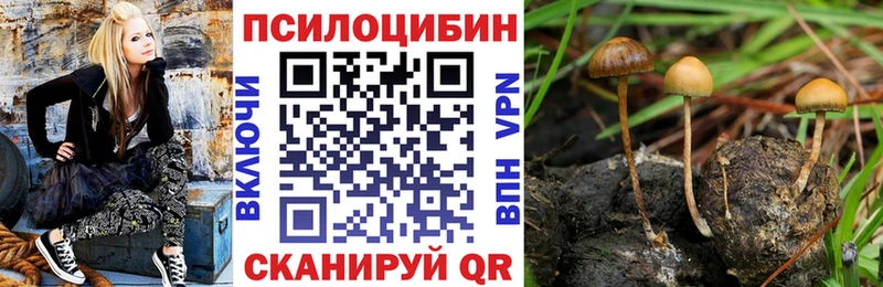 где продают наркотики  Чёрмоз  Псилоцибиновые грибы ЛСД 