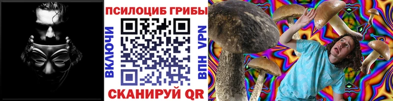 Псилоцибиновые грибы Psilocybine cubensis Чёрмоз